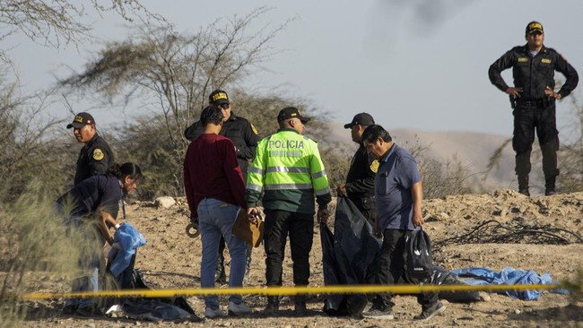 Sebuah pesawat kecil yang mengangkut wisatawan asing untuk melihat situs arkeologi terkenal Nazca Lines di Peru jatuh pada Sabtu (1/8).