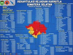 Zona Merah Karhutla di Sumsel Jadi 9 Daerah, Mana Saja?
