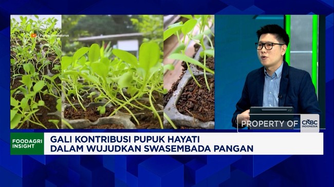 Video: Ini Cara Pupuk Hayati Bantu Petani Genjot Produksi Padi -Jagung