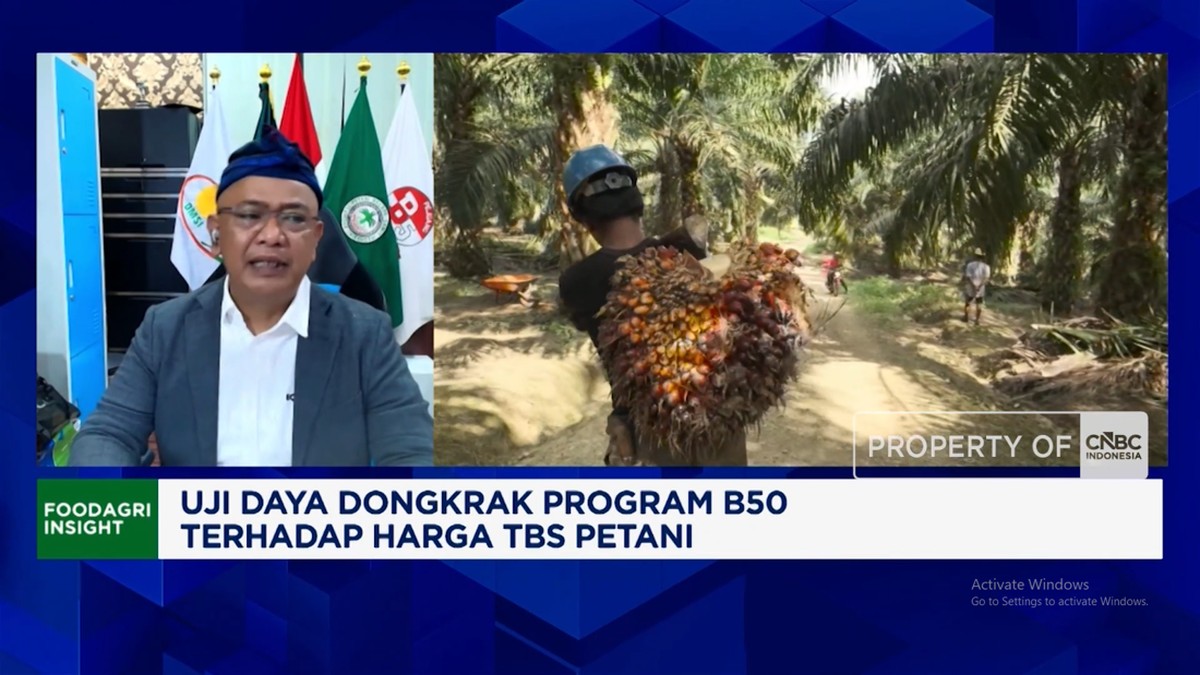Video: Harga TBS Sulit Naik Bikin Petani Sawit Swadaya Sulit Sejahtera