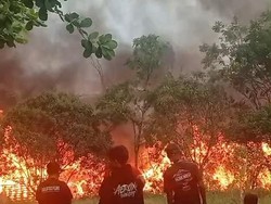 Lapak Rongsokan di Citereup Bogor Kebakaran, Api Menyala Besar