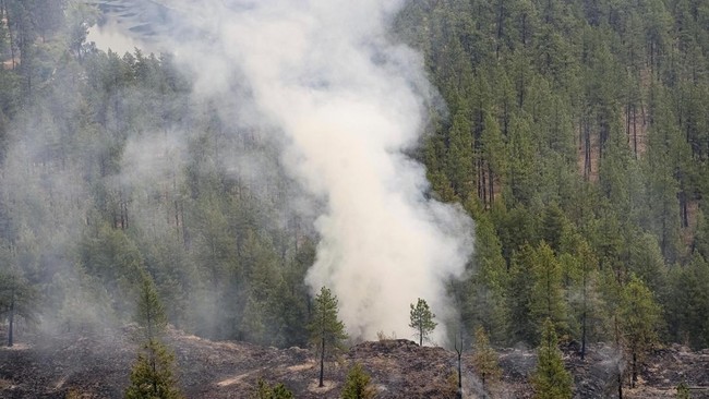 Smoke billows from the Old Trails Fire as wildfires burn in Spokane, Washington, U.S., August 2, 2026. REUTERS/David Ryder