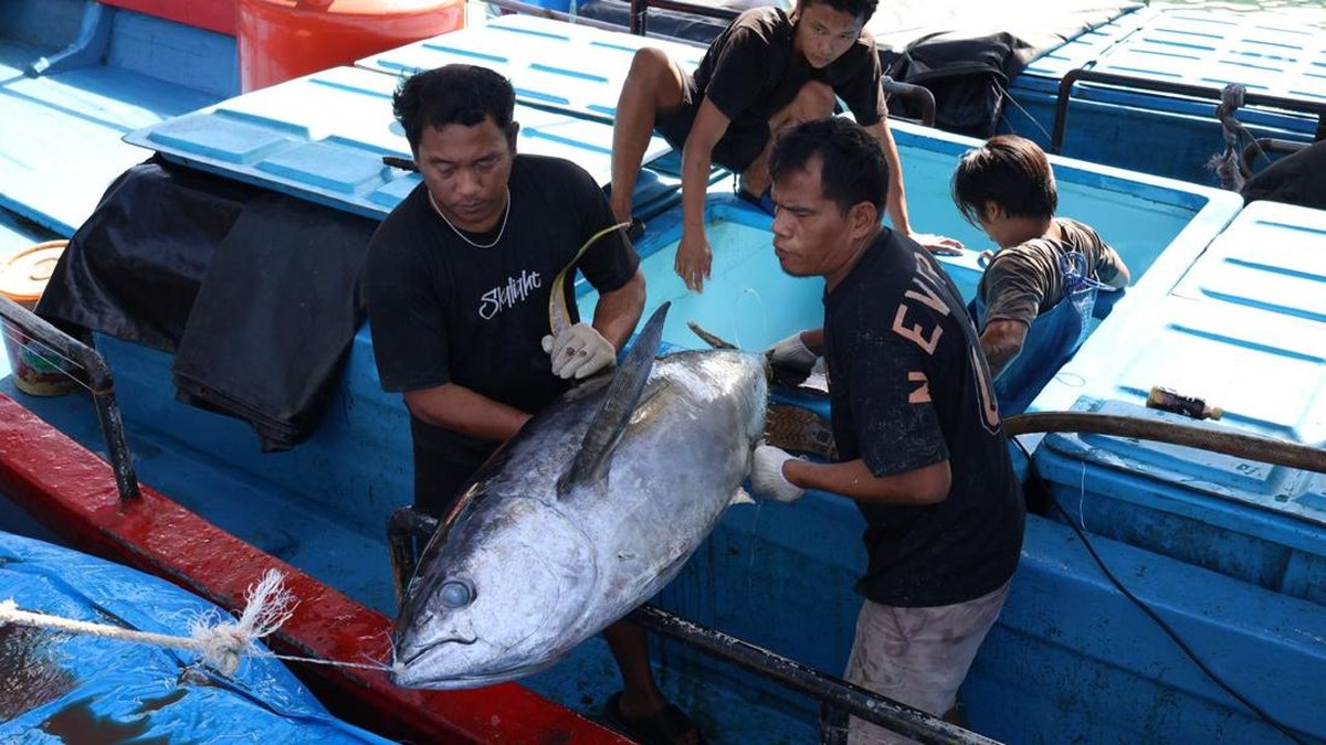Tok! Tarif Ekspor Tuna ke Jepang Jadi 0%, KKP Ngegas Lakukan Ini
