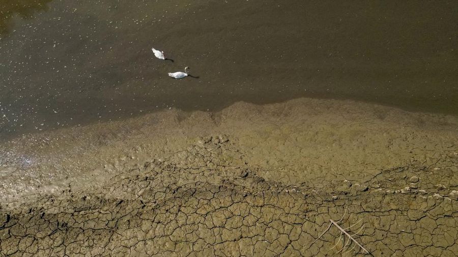 Pemandangan dari drone menunjukkan angsa-angsa di Danau Brenets nan nyaris kosong lantaran kondisi kekeringan nan memengaruhi Sungai Doubs menurunkan permukaan air di sepanjang perbatasan Swiss-Prancis di Les Brenets, Swiss, 30 Juli 2026.