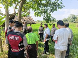 Punya Riwayat Diabetes, Perempuan Ditemukan Tewas di Sawah Lombok Barat