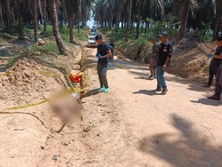 Jasad Pria Ditemukan di Parit Kebun Sawit Muba, Ada Luka Lebam di Dada