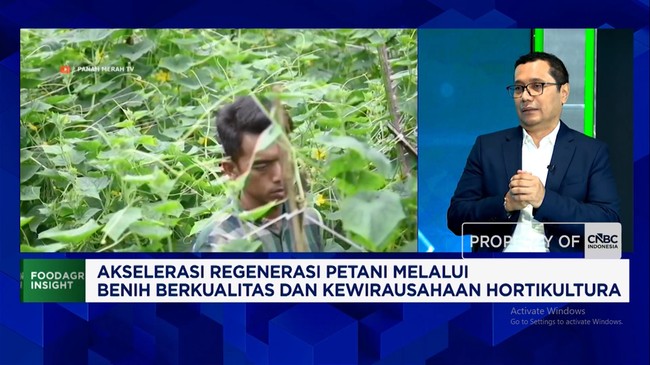 Video: Inovasi Bikin Benih Sayur Tahan Hama-Cuaca Ekstrem, Petani Cuan
