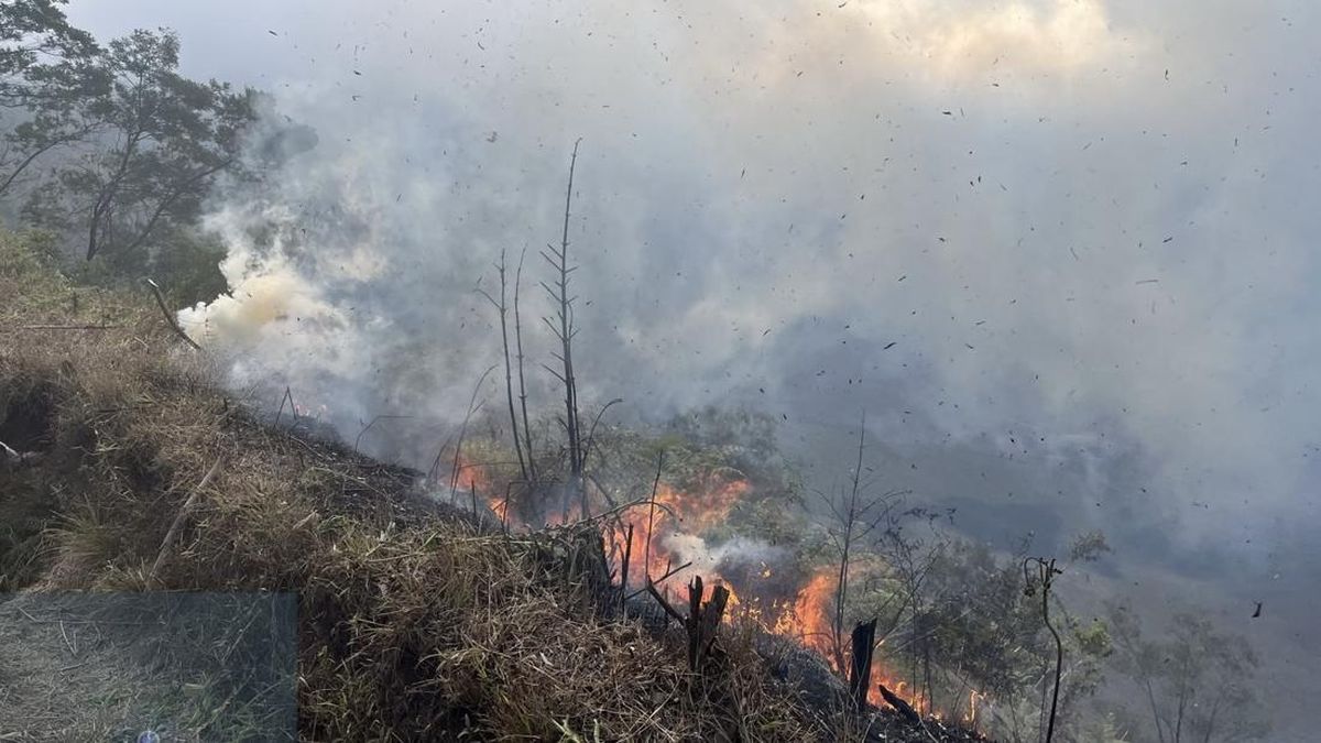 Hutan Bromo Terbakar, Tiga Akses Masuk Wisata Ditutup