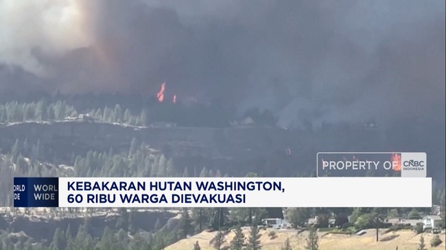 Video: Kebakaran Hutan Washington, 60 Ribu Warga Dievakuasi