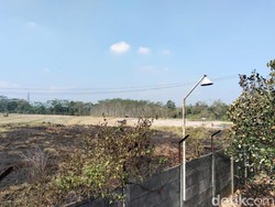 2 Hektare Lahan di Secang Magelang Terbakar