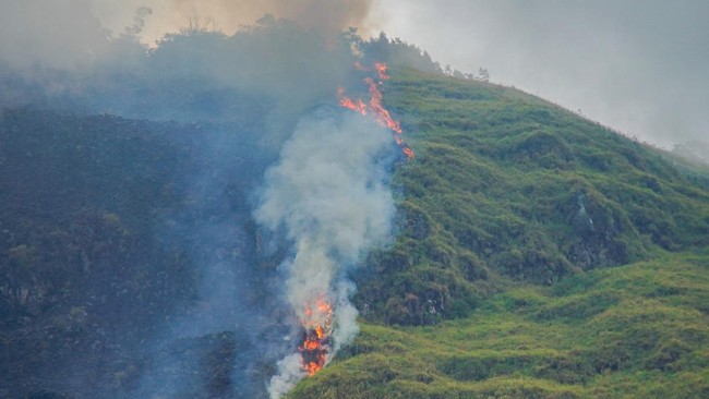 Titik kebakaran hutan di kawasan Perhutani RPH Sukapura, Blok Gunung Ringgit, Desa Sapikerep, Kecamatan Sukapura, Kabupaten Probolinggo.