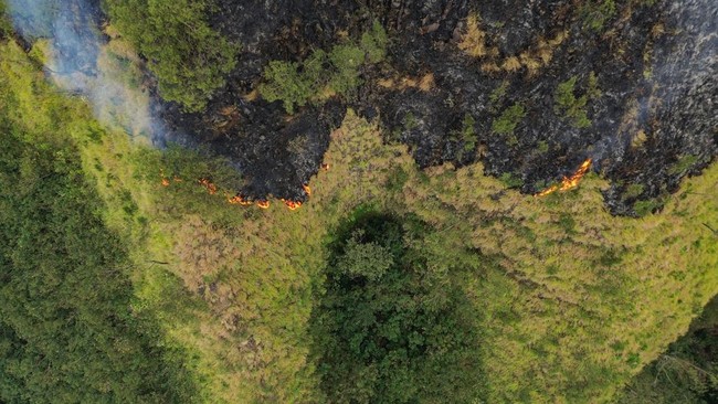 Foto udara kebakaran hutan di kawasan Perhutani RPH Sukapura, Blok Gunung Ringgit, Desa Sapikerep, Kecamatan Sukapura, Kabupaten Probolinggo.