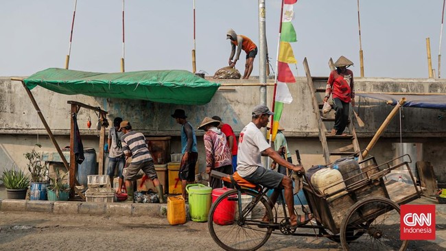 Sejumlah pekerja memilah hasil tangkapan laut di Kampung Nelayan Cilincing, Jakarta, Selasa (4/8). (CNN Indonesia/Febria Adha L)