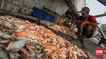 Sejumlah pekerja memilah hasil tangkapan laut di Kampung Nelayan Cilincing, Jakarta, Selasa (4/8). (CNN Indonesia/Febria Adha L)