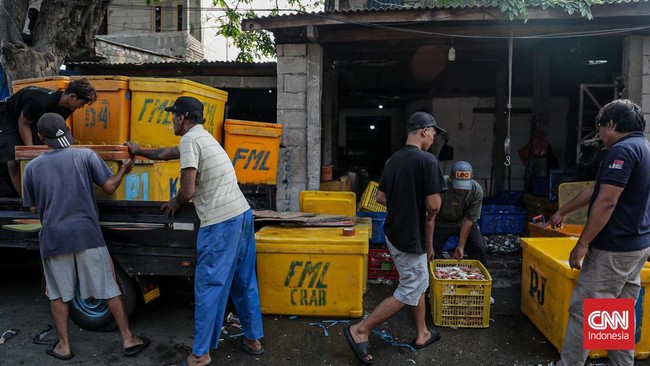 Sejumlah pekerja memilah hasil tangkapan laut di Kampung Nelayan Cilincing, Jakarta, Selasa (4/8). (CNN Indonesia/Febria Adha L)