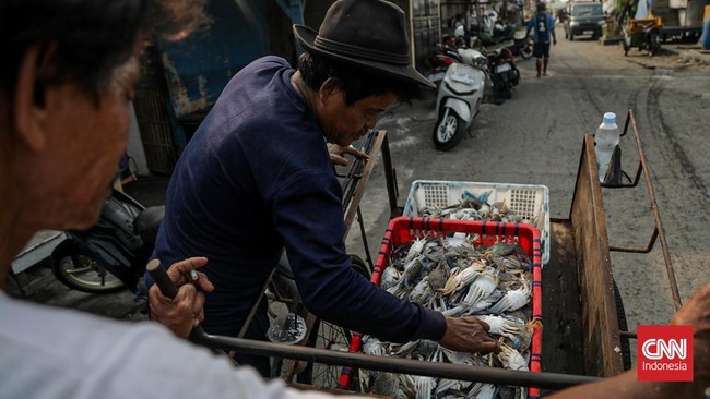Sejumlah pekerja memilah hasil tangkapan laut di Kampung Nelayan Cilincing, Jakarta, Selasa (4/8). (CNN Indonesia/Febria Adha L)