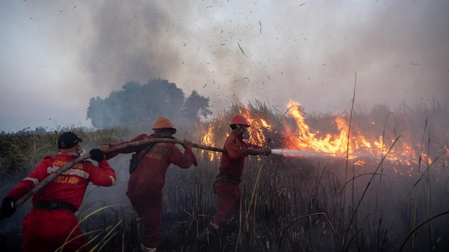 Pemadaman Kebakaran Lahan di Ogan Ilir