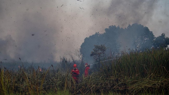 Pemadaman Kebakaran Lahan di Ogan Ilir