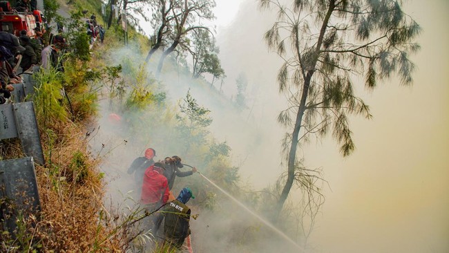 Sejumlah petugas berupaya memadamkan kebakaran hutan di Blok Bantengan, kawasan Taman Nasional Bromo Tengger Semeru (TNBTS).