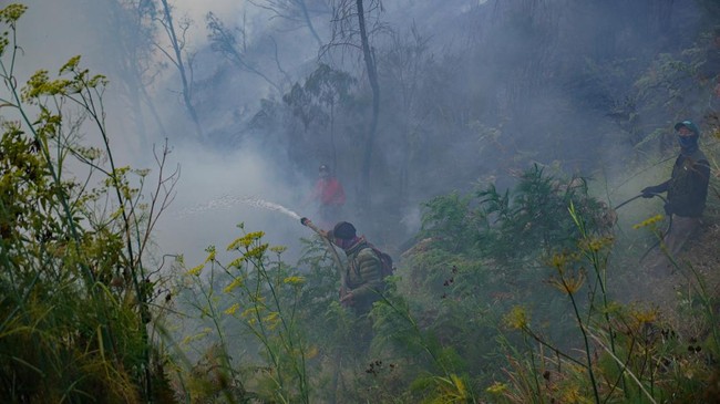 Sejumlah petugas berupaya memadamkan kebakaran hutan di Blok Bantengan, kawasan Taman Nasional Bromo Tengger Semeru (TNBTS).