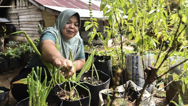 Penantian Panjang Transmigran Kerinci Memperoleh Hak Lahan