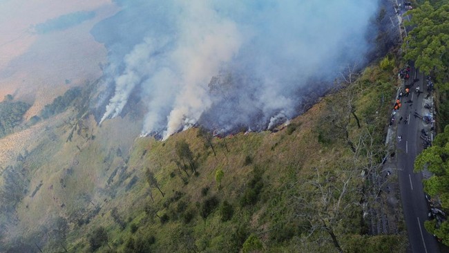 Foto udara sejumlah petugas berupaya memadamkan kebakaran hutan di Blok Bantengan, kawasan Taman Nasional Bromo Tengger Semeru (TNBTS).