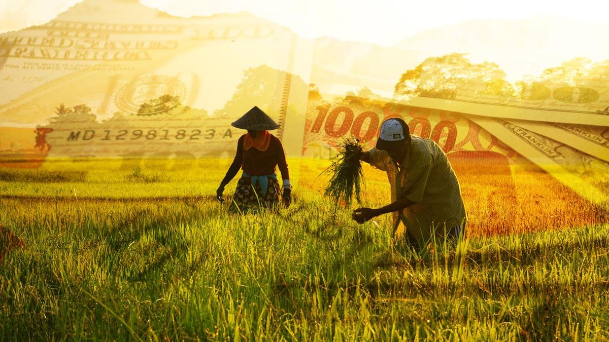 Bikin Bangga! RI Masuk 5 Klub Raksasa Penguasa Pertanian Dunia
