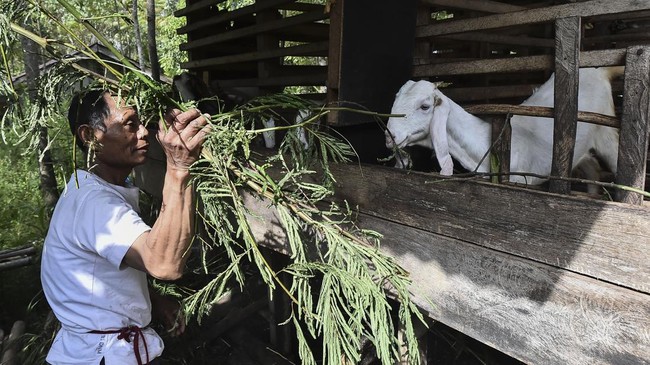 Penantian Panjang Transmigran Kerinci Memperoleh Hak Lahan