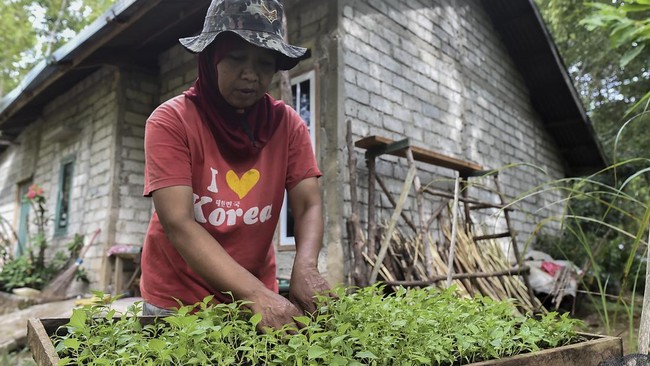 Penantian Panjang Transmigran Kerinci Memperoleh Hak Lahan