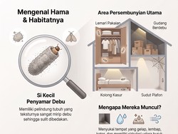 Infografis: 5 Lokasi Persembunyian Kamitetep di Rumah, Nomor 1 Jarang Disadari