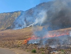 Akses Jemplang Ditutup Imbas Kebakaran Bromo, Tarif Jip Terancam Naik