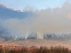 Titik Api Kebakaran Hutan Bromo Sudah Sampai di Kabupaten Malang