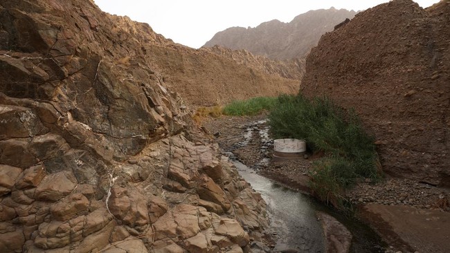A mountain valley and a streambed in Wadi Wurayah National Park, in Fujairah, United Arab Emirates, July 16, 2026. REUTERS/Amr Alfiky
