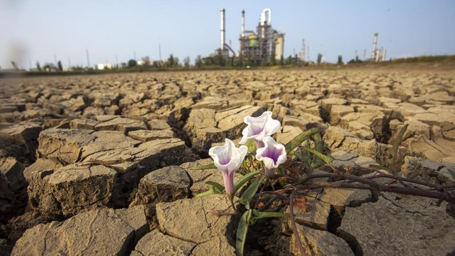 Warga Terdampak Krisis Air di Indramayu