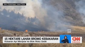 15 Hektare Lahan Bromo Kebakaran