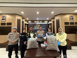 Kronologi Polisi Bongkar Gudang Sisik Trenggiling, Berawal dari Postingan Viral