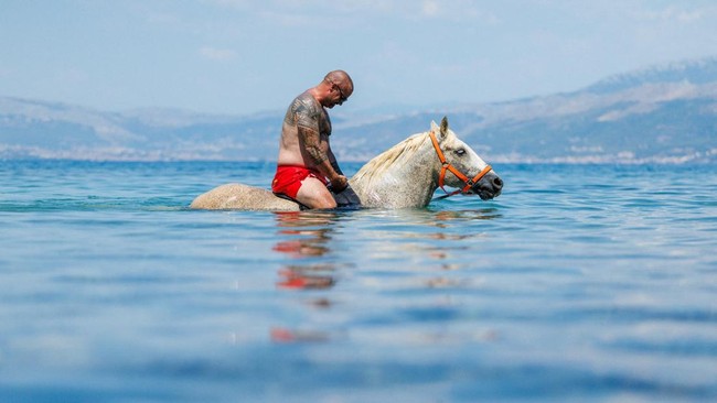 A man rides a horse named 'Perlaz' in the water during a heatwave in Supetar on the island of Brac, Croatia, August 5, 2026. REUTERS/Antonio Bronic