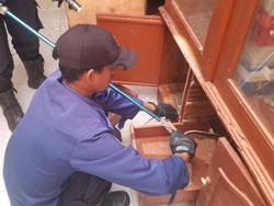 Kagetnya Nurholis Temukan Ular 1,2 Meter Saat Buka Lemari