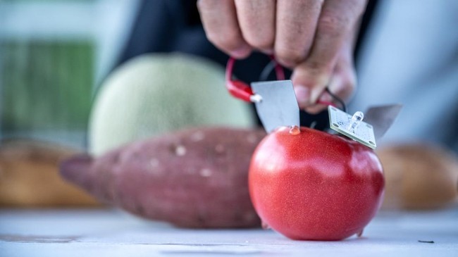 This picture taken on May 9, 2026 shows Japanese product designer and engineer Satoshi Nakagawa demonstrating how to generate electricity using food, wine and other materials at the