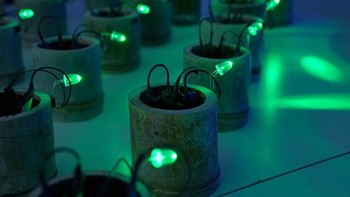 This photo taken on May 26, 2026 shows ultra-small-scale power harvesting that generates electricity using organic materials such as soil and bamboo, produced by Japanese product designer Japanese product designer and engineer Satoshi Nakagawa at his