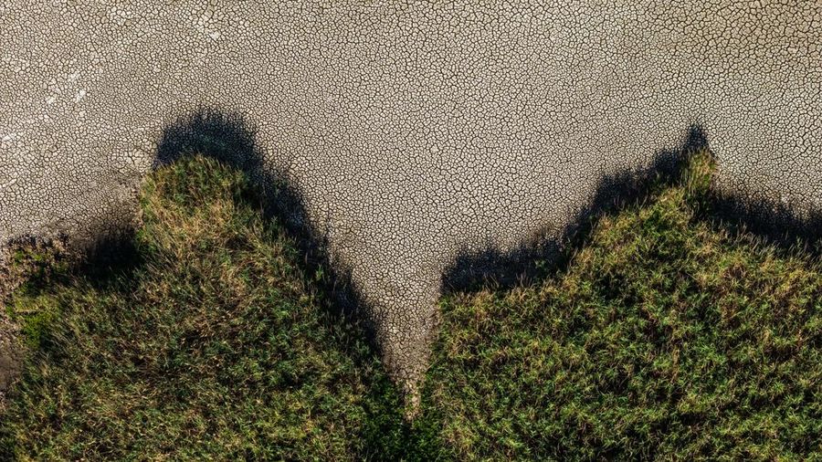 Foto udara menujukkan menurunnya permukaan air di Danau Velence, Hungaria, Kamis (6/8/2026).
Permukaan air di Danau Velence diprediksi bakal turun ke level terendah sepanjang masa pada musim panas ini akibat dampak perubahan iklim. (REUTERS/Marton Mo