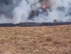 BPBD Jabar Selidiki Penyebab Kebakaran di Gunung Gede Pangrango