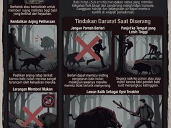 Infografik: Ini yang Harus Kamu Lakukan Agar Tak Diseruduk Babi Hutan