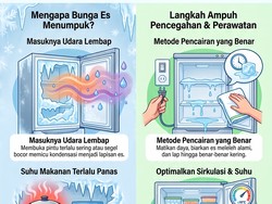 Infografis: 4 Biang Kerok Bunga Es Numpuk di Freezer dan Cara Cegahnya