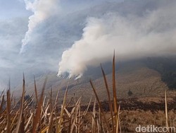 Video Kebakaran di Bromo Meluas, Total 86 Hektare Lebih Terbakar