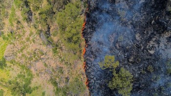 Foto udara api membakar hutan di kawasan Taman Nasional Bromo Tengger Semeru (TNBTS), Kabupaten Probolinggo, Jawa Timur, Kamis (6/8/2026). Berdasarkan laporan Badan Nasional Penanggulangan Bencana (BNPB) kebakaran hutan dan lahan di kawasan TNBTS tel