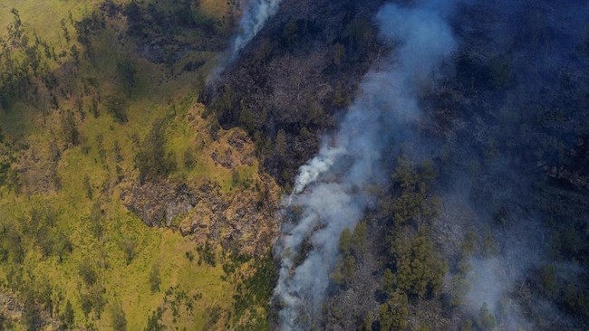 Foto udara kebakaran hutan di kawasan Taman Nasional Bromo Tengger Semeru (TNBTS), Kabupaten Probolinggo, Jawa Timur, Kamis (6/8/2026). Berdasarkan laporan Badan Nasional Penanggulangan Bencana (BNPB) kebakaran hutan dan lahan di kawasan TNBTS telah