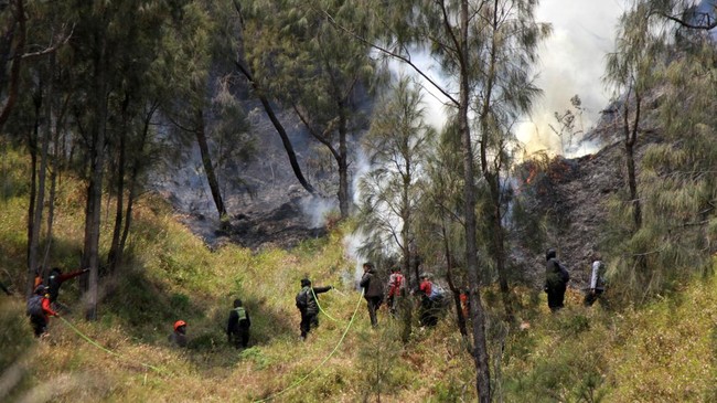 Sejumlah petugas berupaya memadamkan kebakaran hutan di kawasan Taman Nasional Bromo Tengger Semeru (TNBTS), Kabupaten Probolinggo, Jawa Timur, Kamis (6/8/2026). Berdasarkan laporan Badan Nasional Penanggulangan Bencana (BNPB) kebakaran hutan dan lah