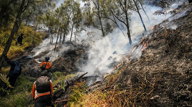 Firefighters battle a wildfire in the Bromo Tengger Semeru National Park near Mount Bromo in Probolinggo, East Java province on August 6, 2026. (Photo by JUNI KRISWANTO / AFP)