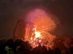 Potret Karhutla Luluh Lantakkan Kawasan Wisata Bukit Kuri Ketapang